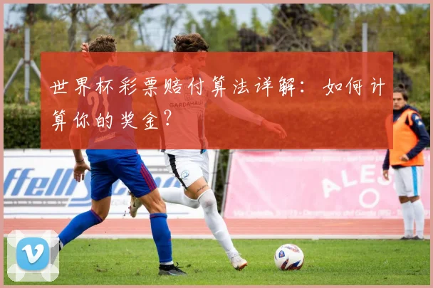 世界杯彩票赔付算法详解：如何计算你的奖金？