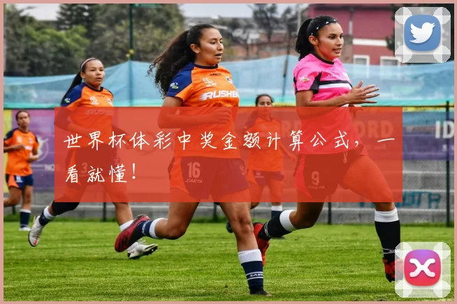 世界杯体彩中奖金额计算公式,一看就懂!