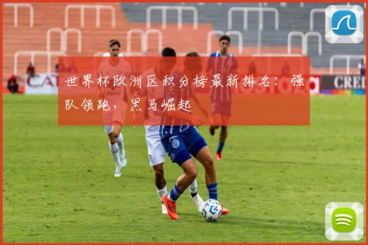世界杯欧洲区积分榜最新排名:强队领跑,黑马崛起