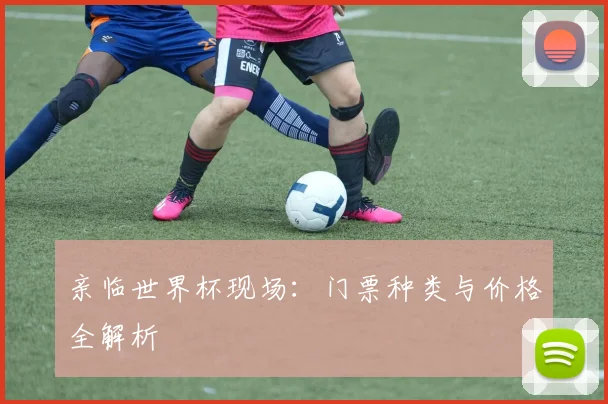 亲临世界杯现场:门票种类与价格全解析