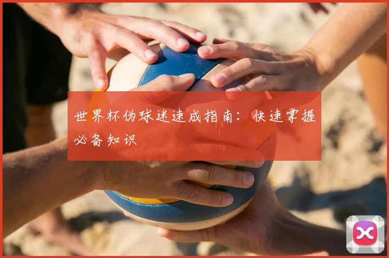 世界杯伪球迷速成指南：快速掌握必备知识