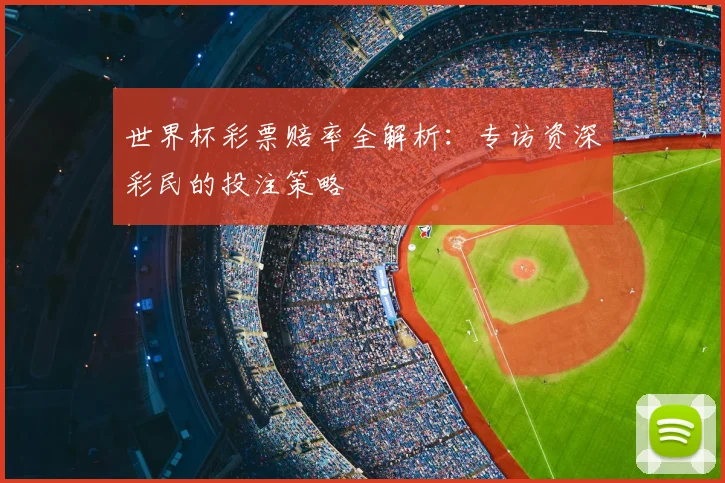 世界杯彩票赔率全解析:专访资深彩民的投注策略