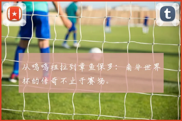 从呜呜祖拉到章鱼保罗：南非世界杯的传奇不止于赛场。