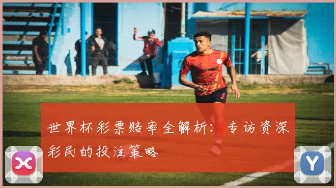 世界杯彩票赔率全解析:专访资深彩民的投注策略