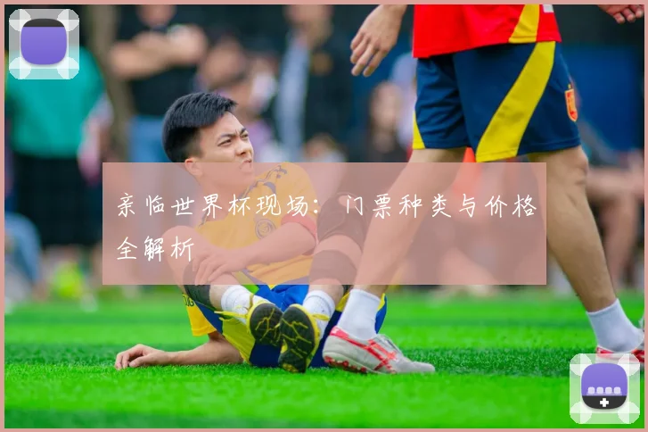 亲临世界杯现场:门票种类与价格全解析