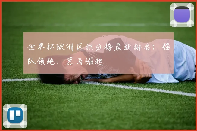 世界杯欧洲区积分榜最新排名:强队领跑,黑马崛起