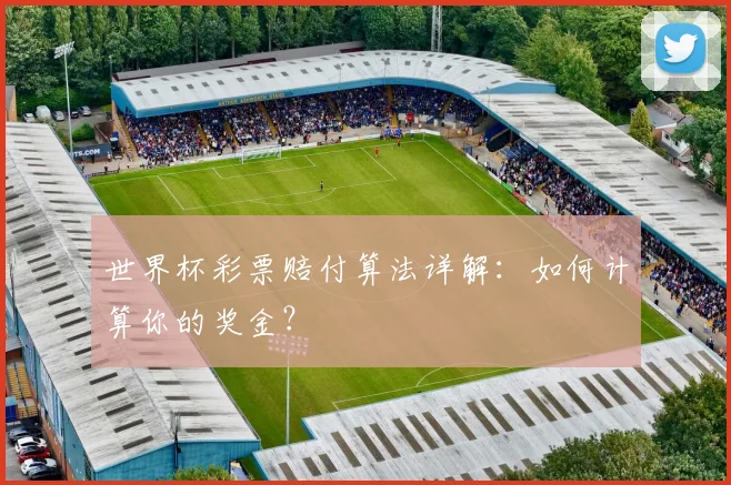 世界杯彩票赔付算法详解：如何计算你的奖金？